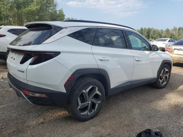 2022 HYUNDAI TUCSON LUX KM8JCCA19NU027889