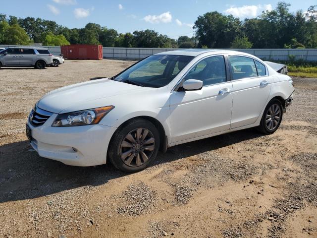 2011 HONDA ACCORD EXL - 1HGCP3F89BA024514