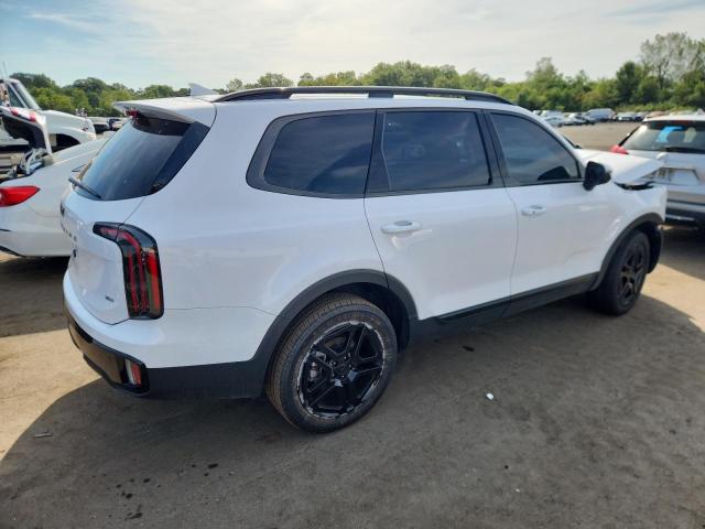 2025 KIA TELLURIDE EX 5XYP3DGC6SG591154
