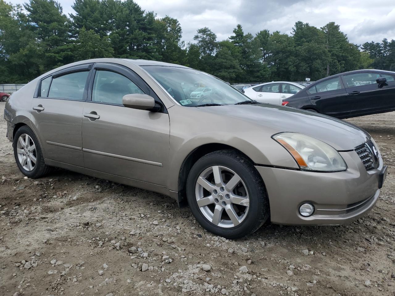 Lot #3240140126 2004 NISSAN MAXIMA SE