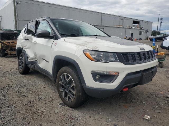 2020 JEEP COMPASS TR 3C4NJDDB1LT111931