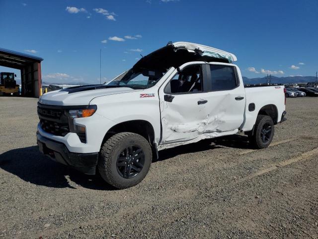 2025 CHEVROLET SILVERADO K1500 TRAIL BOSS CUSTOM 3GCPKCEK1SG167891