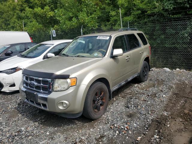 FORD ESCAPE LIM