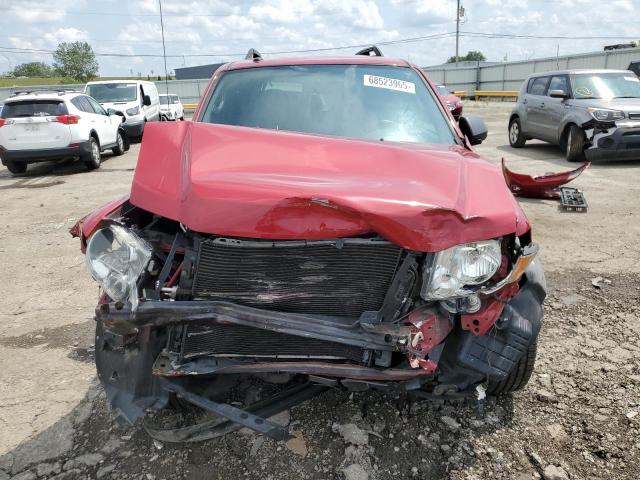 2010 FORD ESCAPE XLT - 1FMCU0D76AKB09623