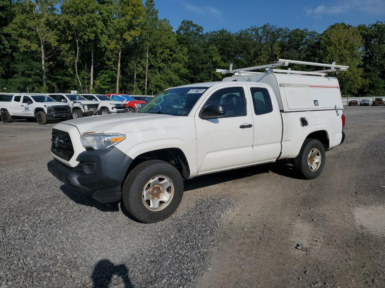 TOYOTA TACOMA ACCESS CAB