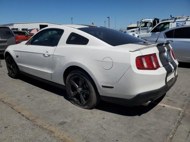 2010 FORD MUSTANG GT - 1ZVBP8CH5A5168772