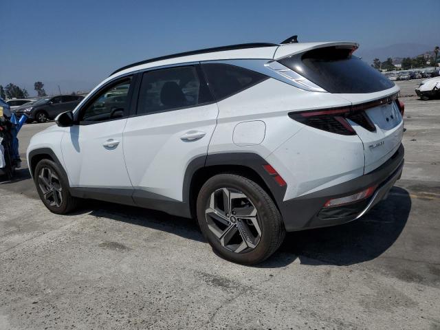 2024 HYUNDAI TUCSON LIM - KM8JECD1XRU216353