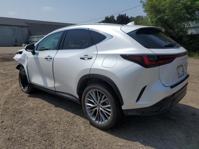2025 LEXUS NX 350H BA 2T2HKCEZ0SC037592