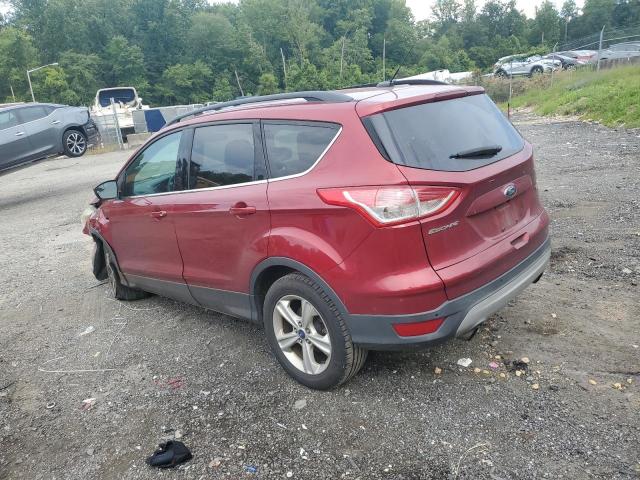 2014 FORD ESCAPE SE - 1FMCU0G93EUA58749