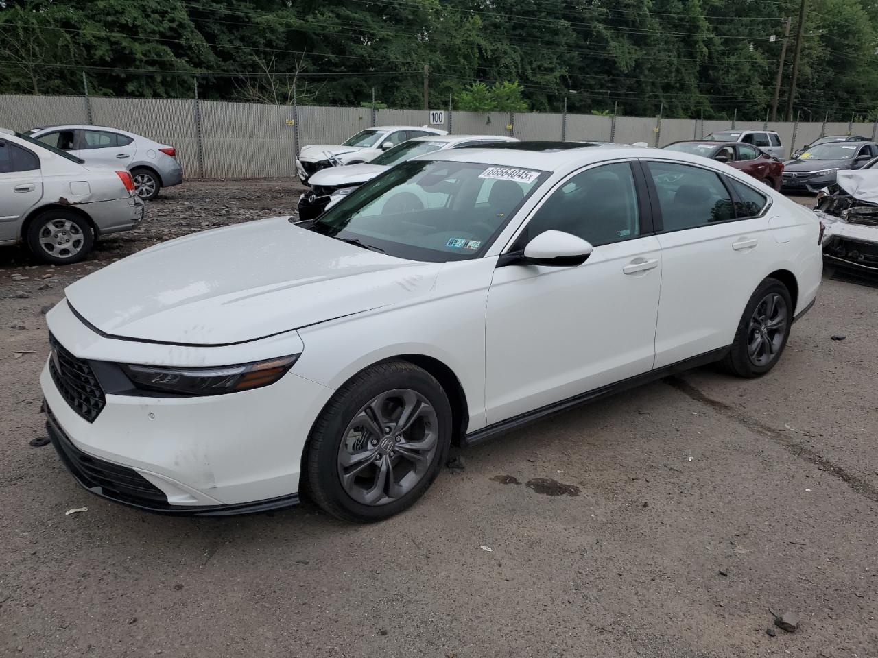 HONDA ACCORD HYBRID EXL