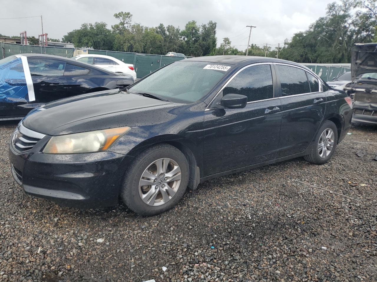 HONDA ACCORD SE