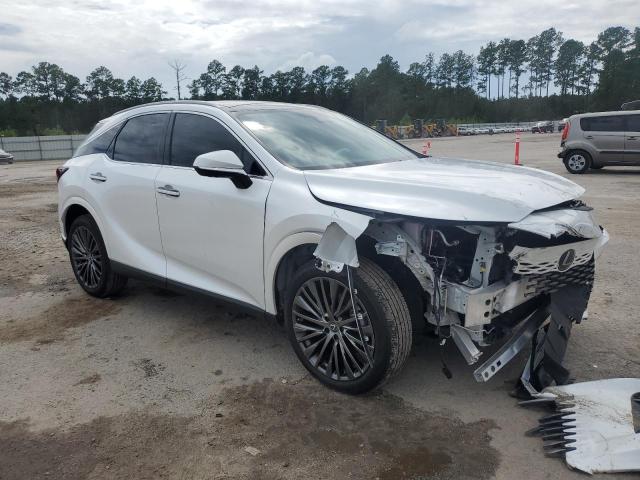 2024 LEXUS RX 350 BASE 2T2BAMBA5RC023937