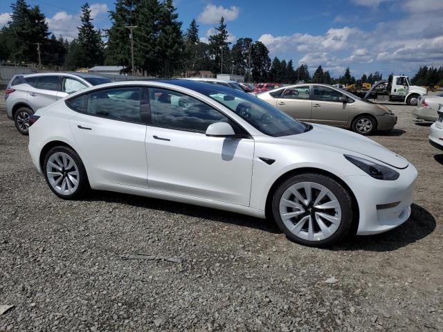 2023 TESLA MODEL 3 5YJ3E1EA8PF644881