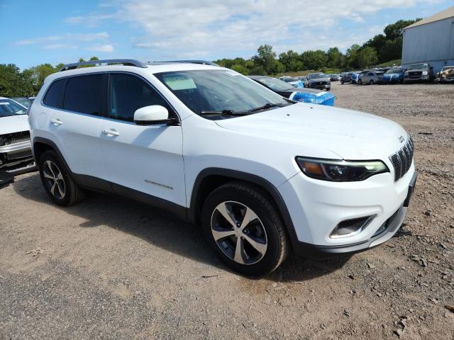 2019 JEEP CHEROKEE L 1C4PJMDX3KD138542
