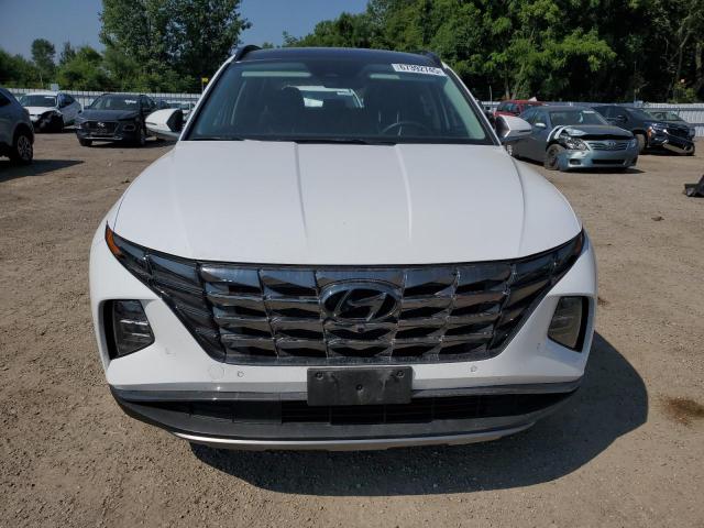 2023 HYUNDAI TUCSON LUXURY KM8JCCA18PU088752
