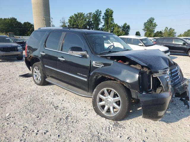 2010 CADILLAC ESCALADE - 1GYUKAEF7AR224288