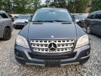 Lot #3303593936 2010 MERCEDES-BENZ ML 350 4MA