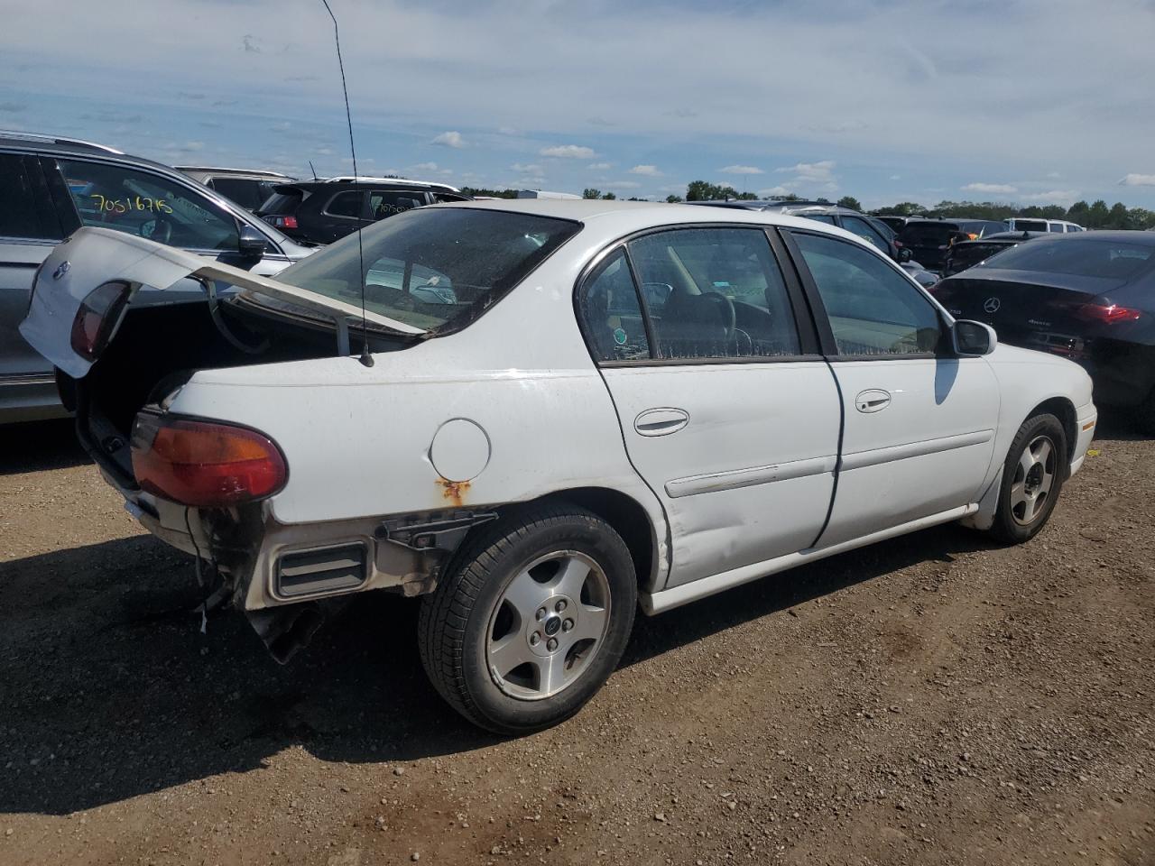 Lot #3304048486 2002 CHEVROLET MALIBU LS