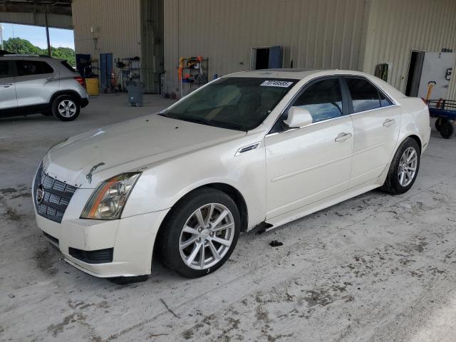 CADILLAC CTS LUXURY COLLECTION 2010 white sedan 4d gas 1G6DE5EG5A0115610 photo #1