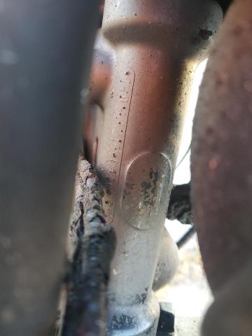 2019 HARLEY-DAVIDSON XL883 N 1HD4LE213KC410559