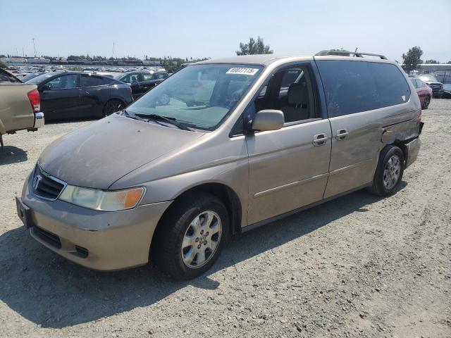 Global Auto Auctions: 2004 HONDA ODYSSEY EX