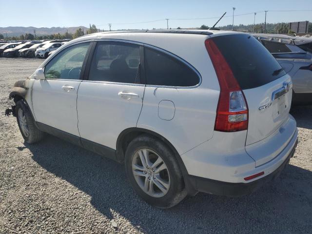 2010 HONDA CR-V EXL - 5J6RE3H76AL005161