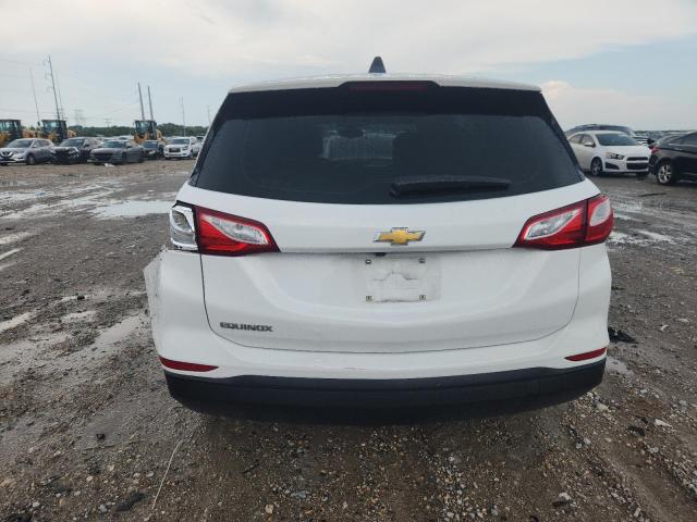 2019 CHEVROLET EQUINOX LS 2GNAXHEV4K6113115