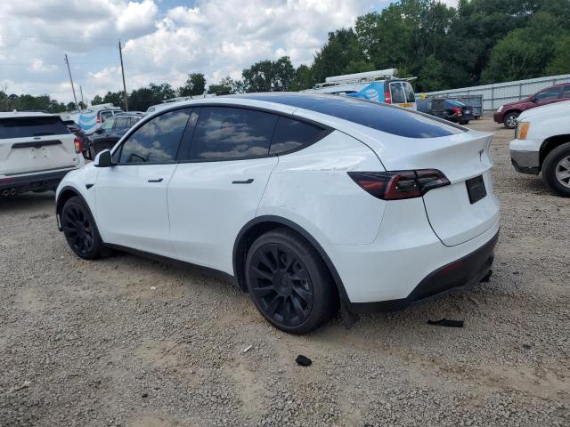 2023 TESLA MODEL Y 7SAYGDEE5PF690904