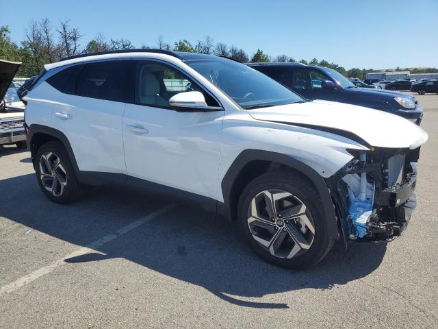 2024 HYUNDAI TUCSON 5NMJECDE8RH409762