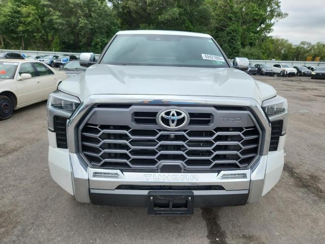 2023 TOYOTA TUNDRA CREWMAX PLATINUM 5TFMA5EC8PX017077