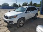Top Destinations for Shipping Cars from the USA