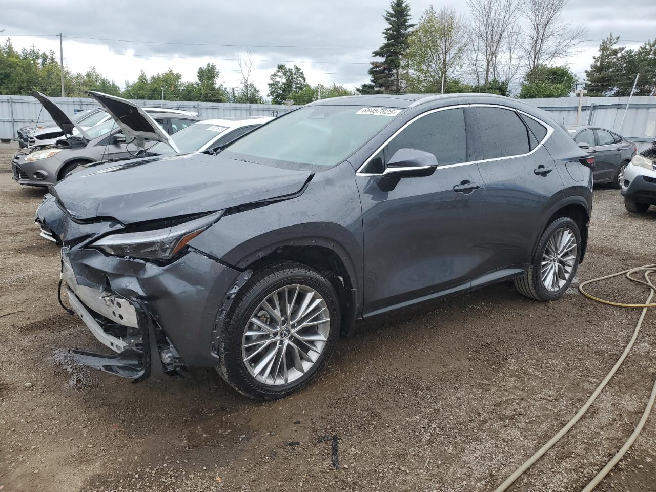 LEXUS NX 350 PREMIUM