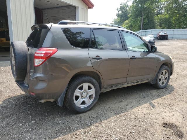 2010 TOYOTA RAV4 - 2T3BF4DV4AW036789