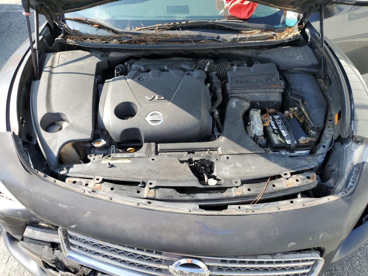 Lot #3305352327 2009 NISSAN MAXIMA S