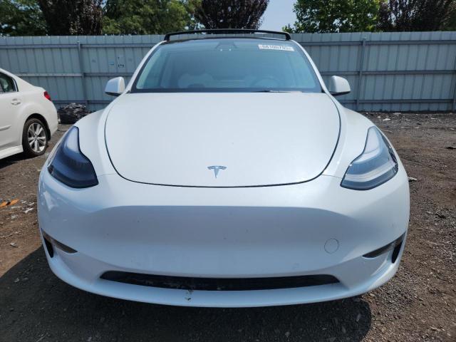 2021 TESLA MODEL Y 5YJYGDEE1MF244760
