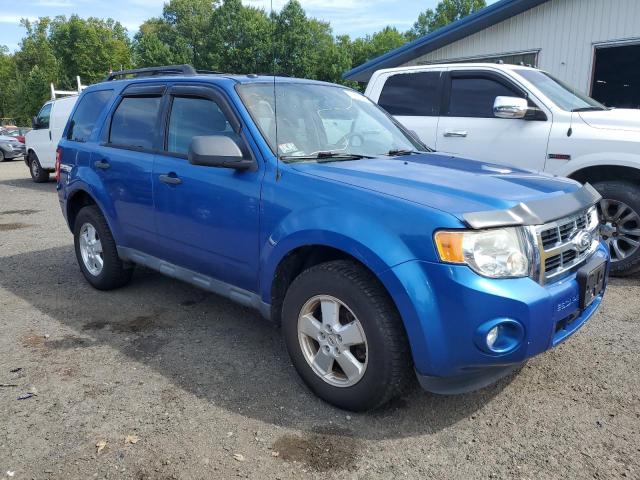 2011 FORD ESCAPE XLT - 1FMCU0DG4BKA86442