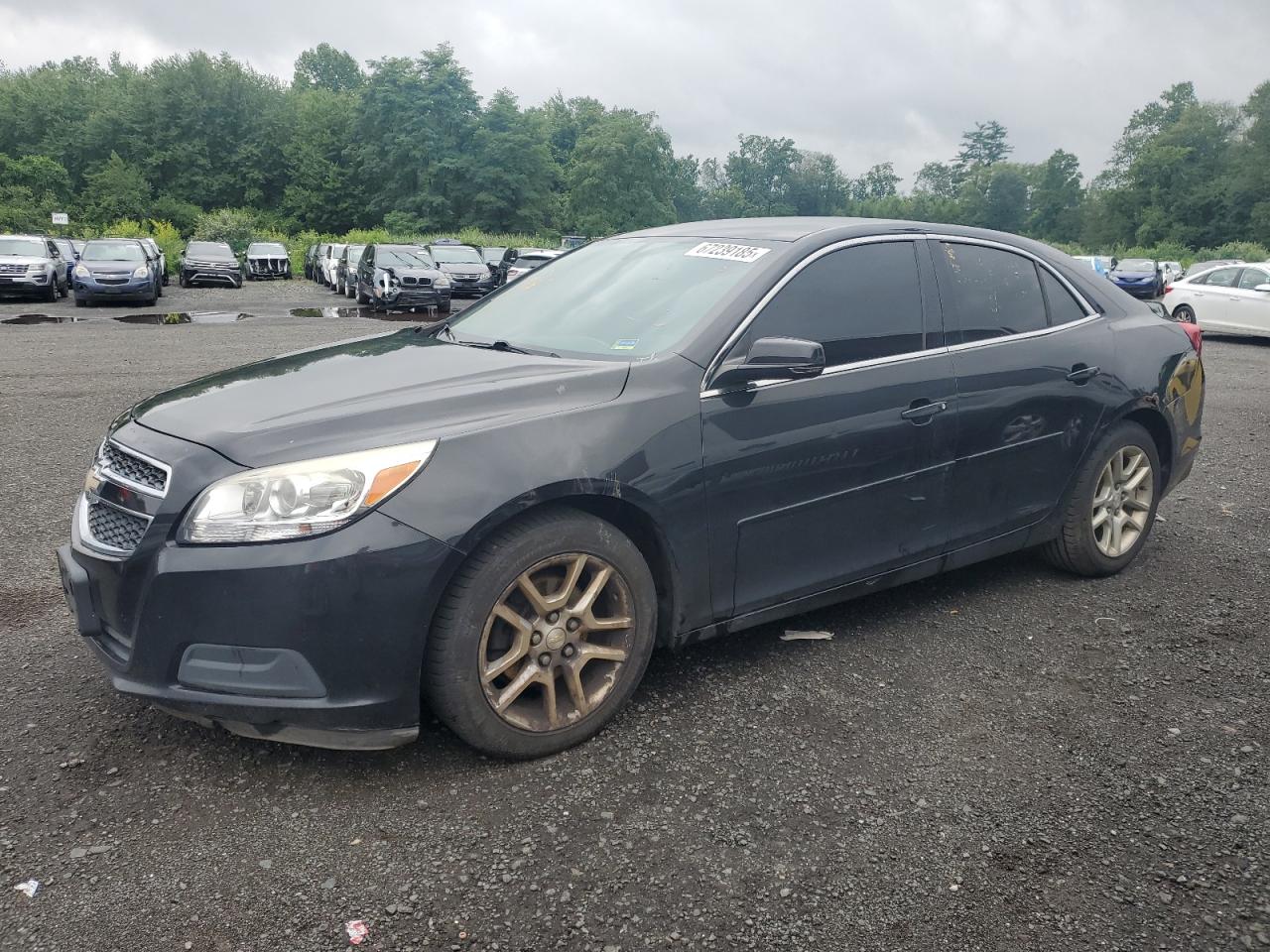 Lot #3209433087 2013 CHEVROLET MALIBU 1LT
