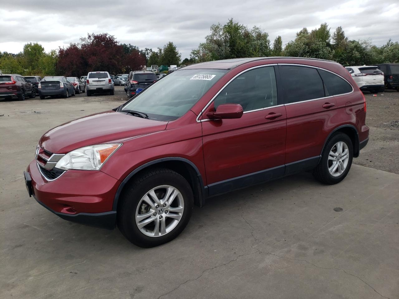 HONDA CR-V EXL