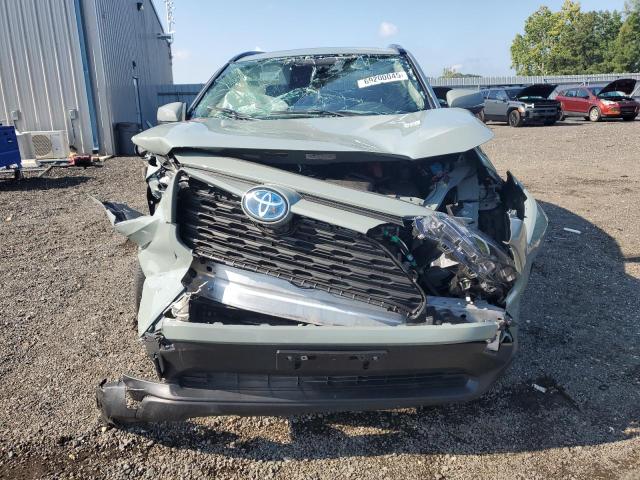 2023 TOYOTA RAV4 XLE P - JTMB6RFV2PD087742