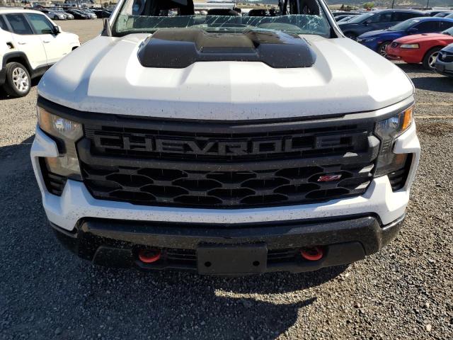 2025 CHEVROLET SILVERADO K1500 TRAIL BOSS CUSTOM 3GCPKCEK1SG167891