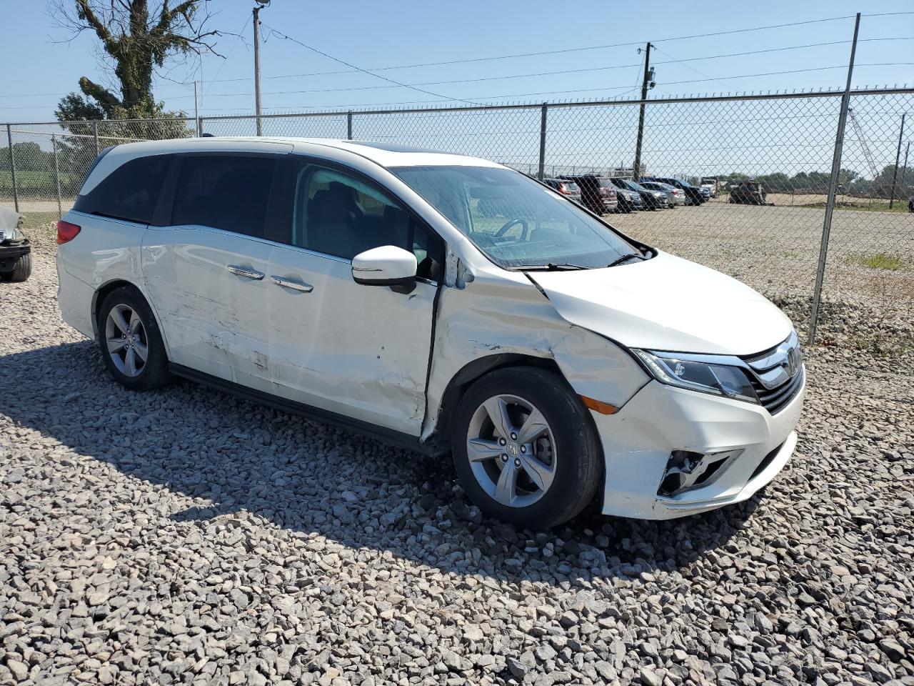 Lot #3265103905 2019 HONDA ODYSSEY EXL