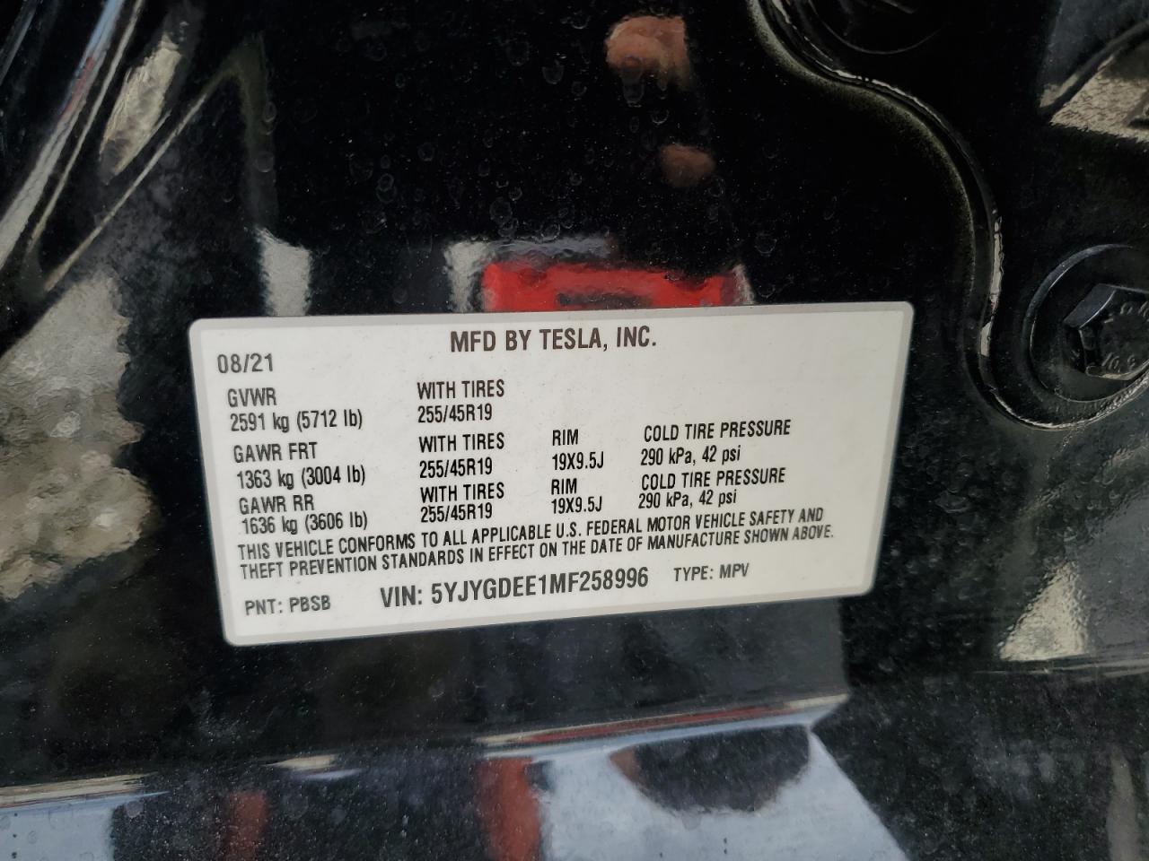 TESLA MODEL Y