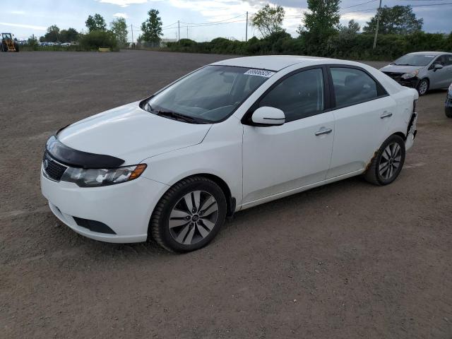 2013 KIA FORTE EX - KNAFU4A25D5650597