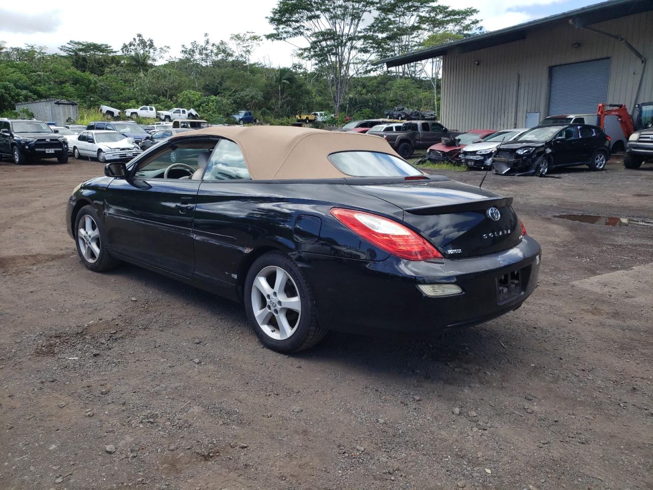 Lot #3272260208 2007 TOYOTA CAMRY SOLA