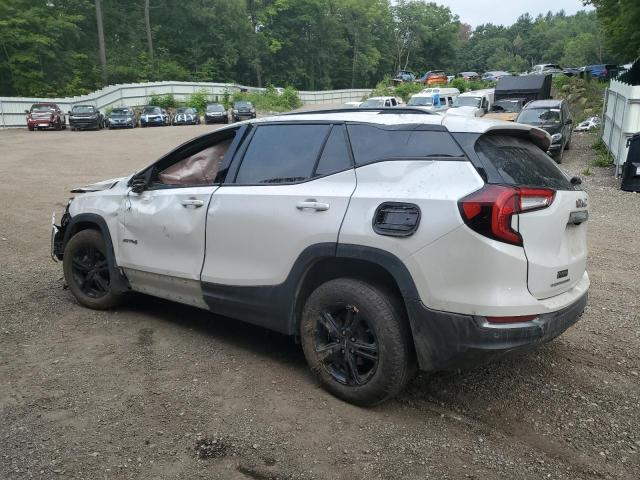 2024 GMC TERRAIN AT 3GKALYEGXRL214384