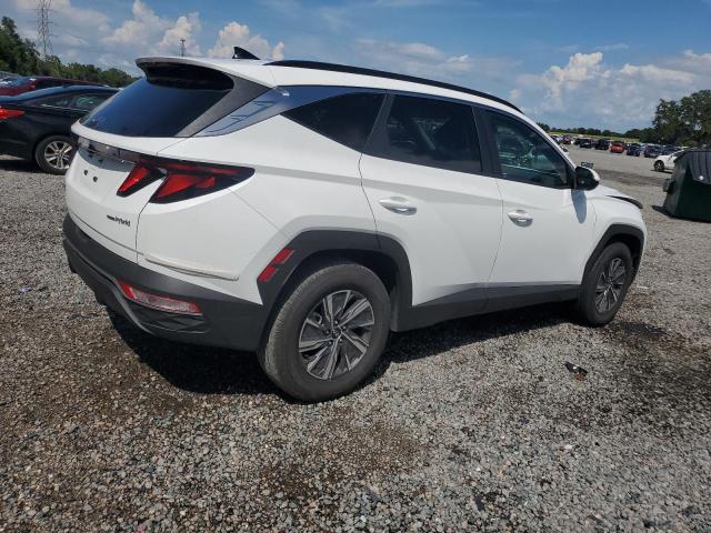 2024 HYUNDAI TUCSON BLU KM8JBCD15RU219198