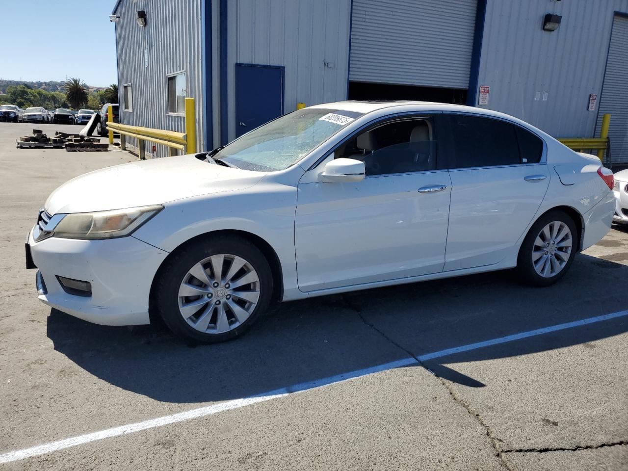 HONDA ACCORD EXL