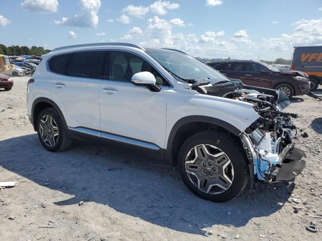 2023 HYUNDAI SANTA FE L 5NMS4DAL6PH655593