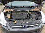 Lot #3294486583 2015 FORD ESCAPE SE
