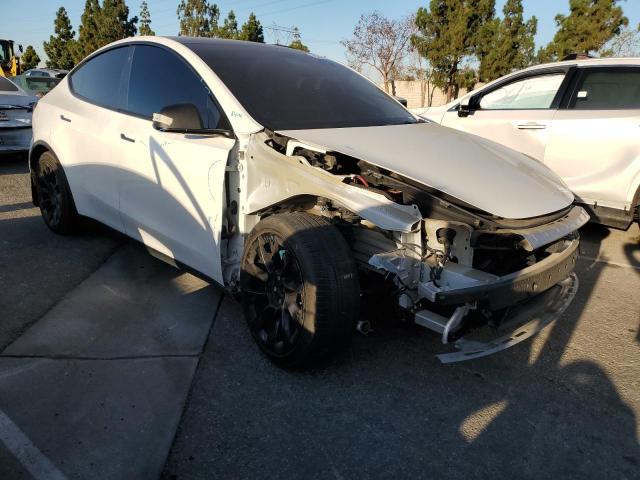 2021 TESLA MODEL Y 5YJYGDEE5MF140014